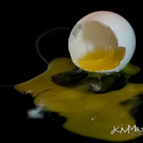 egg splat-sm